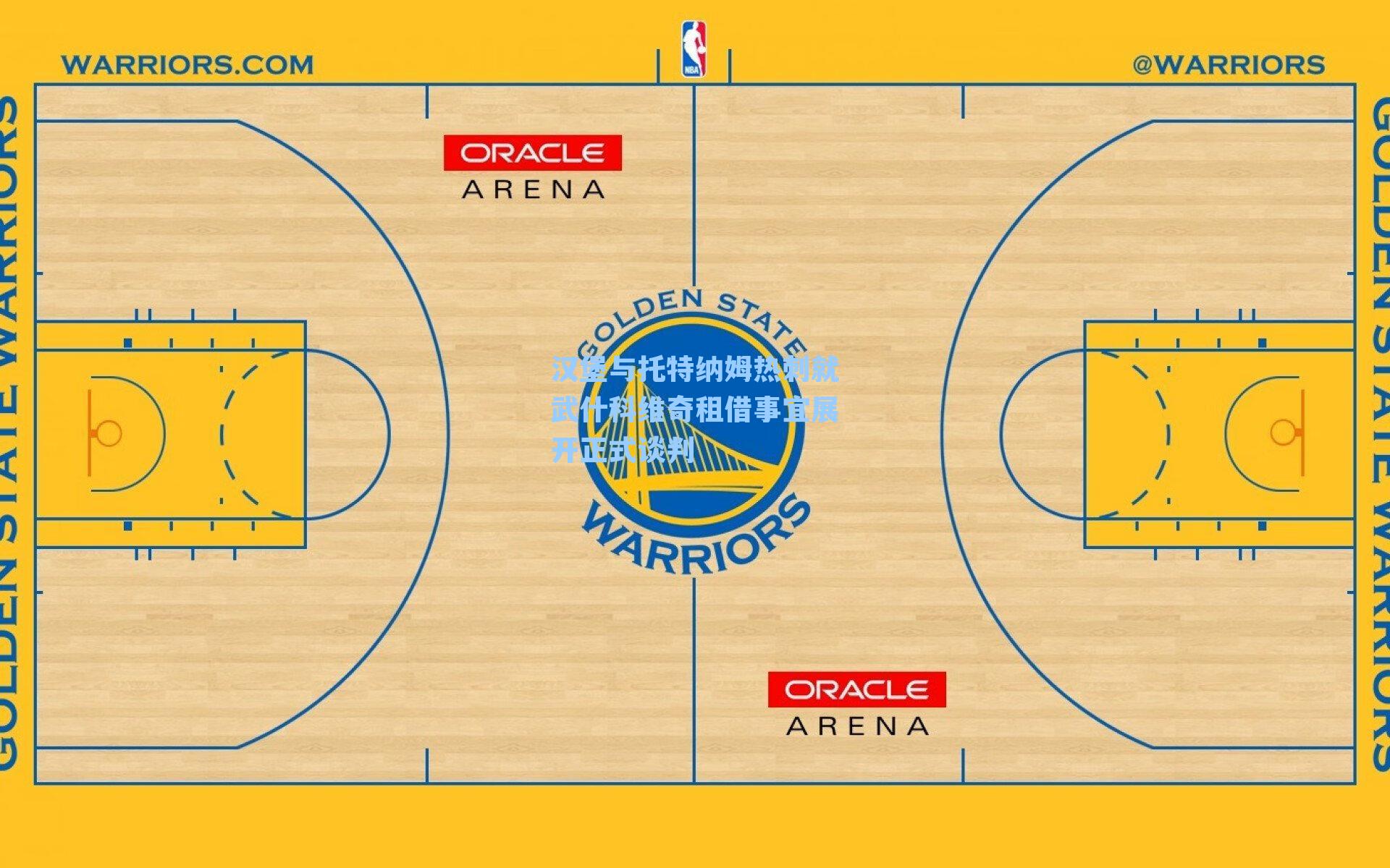 汉堡与托特纳姆热刺就武什科维奇租借事宜展开正式谈判