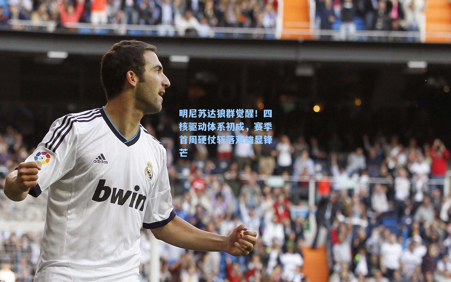 明尼苏达狼群觉醒!四核驱动体系初成,赛季首周硬仗斩落双雄显锋芒