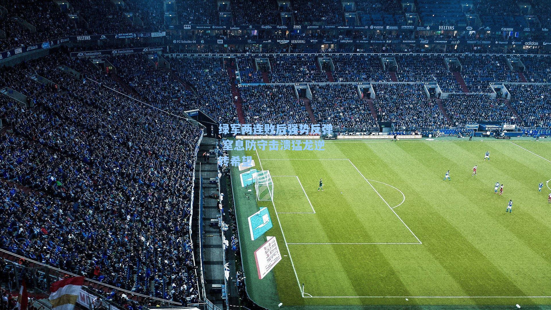 绿军两连败后强势反弹 窒息防守击溃猛龙逆转希望